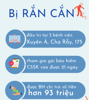 Ca chi trả thanh toán viện phí do Rắn cắn của Dai-ichi Life Việt Nam
